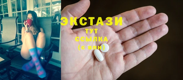 стаф Алзамай
