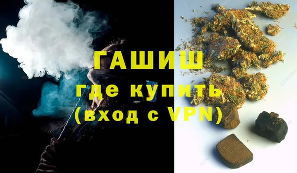 стаф Алзамай
