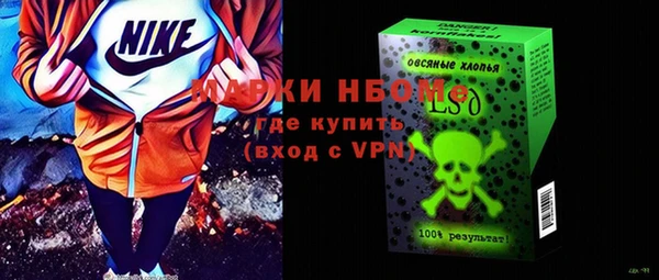 стаф Алзамай
