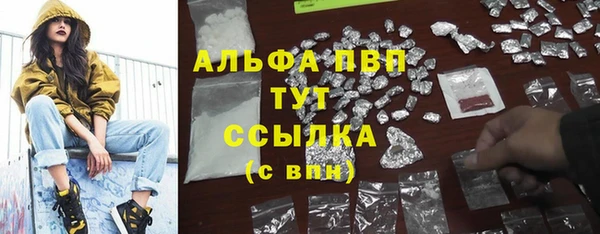 стаф Алзамай