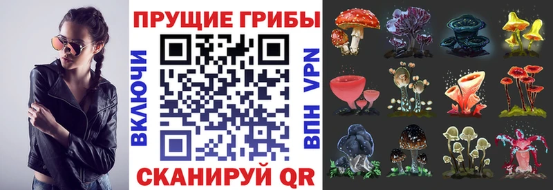 Галлюциногенные грибы мицелий даркнет сайт Биробиджан