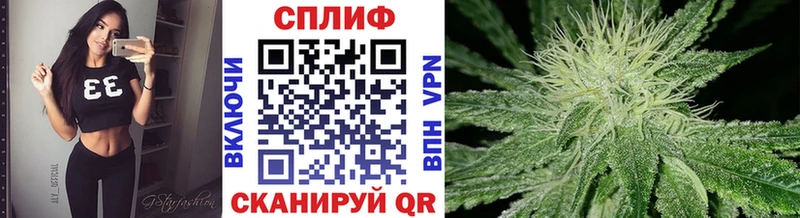 закладка  Биробиджан  Бошки Шишки White Widow 
